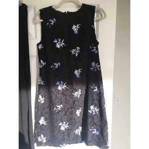 Ann Taylor lace cocktail dress